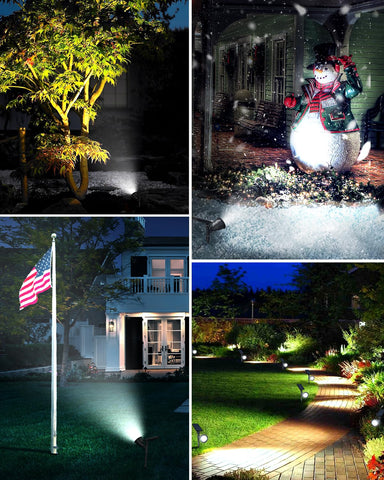 DBF two-pack provides broad yard coverage and a cohesive look.