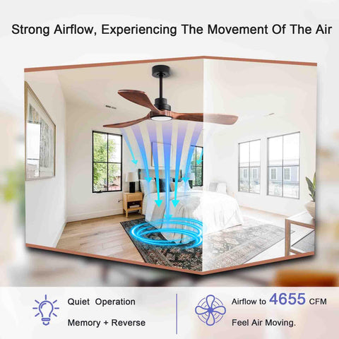 DearNow remote control with dimmer for easy light and speed adjustments.