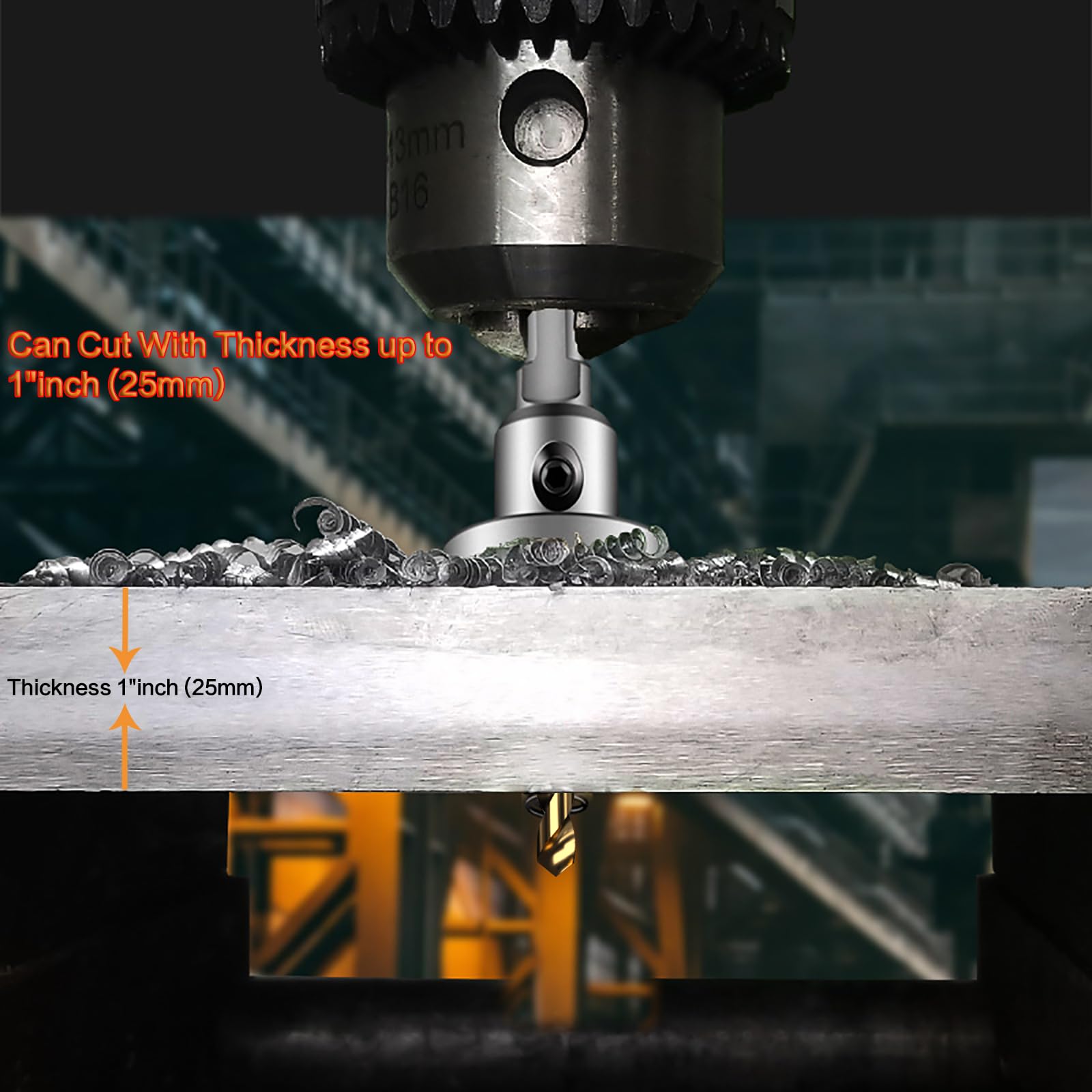 DECKRKAT rust-resistant plastic case keeps tools organized