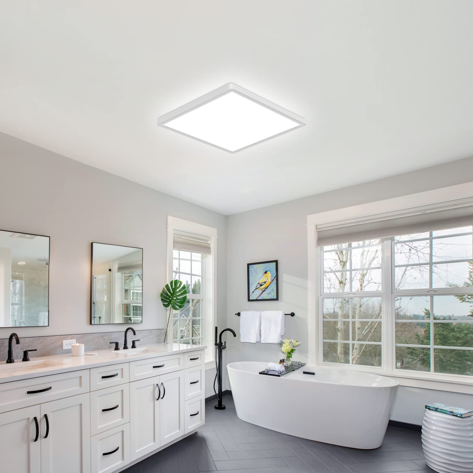 DELIPOP versatile for living rooms, bedrooms, kitchens, bathrooms, dining areas, and corridors.