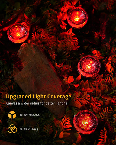 DELITOR upgraded reflective design expands brightness and light reach.