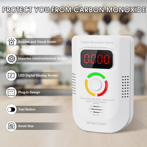 Deller CO detector with visual alarm notification for safety