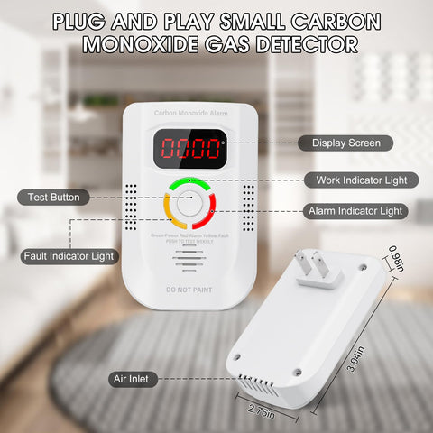 Deller CO detector with digital display shows real-time levels clearly