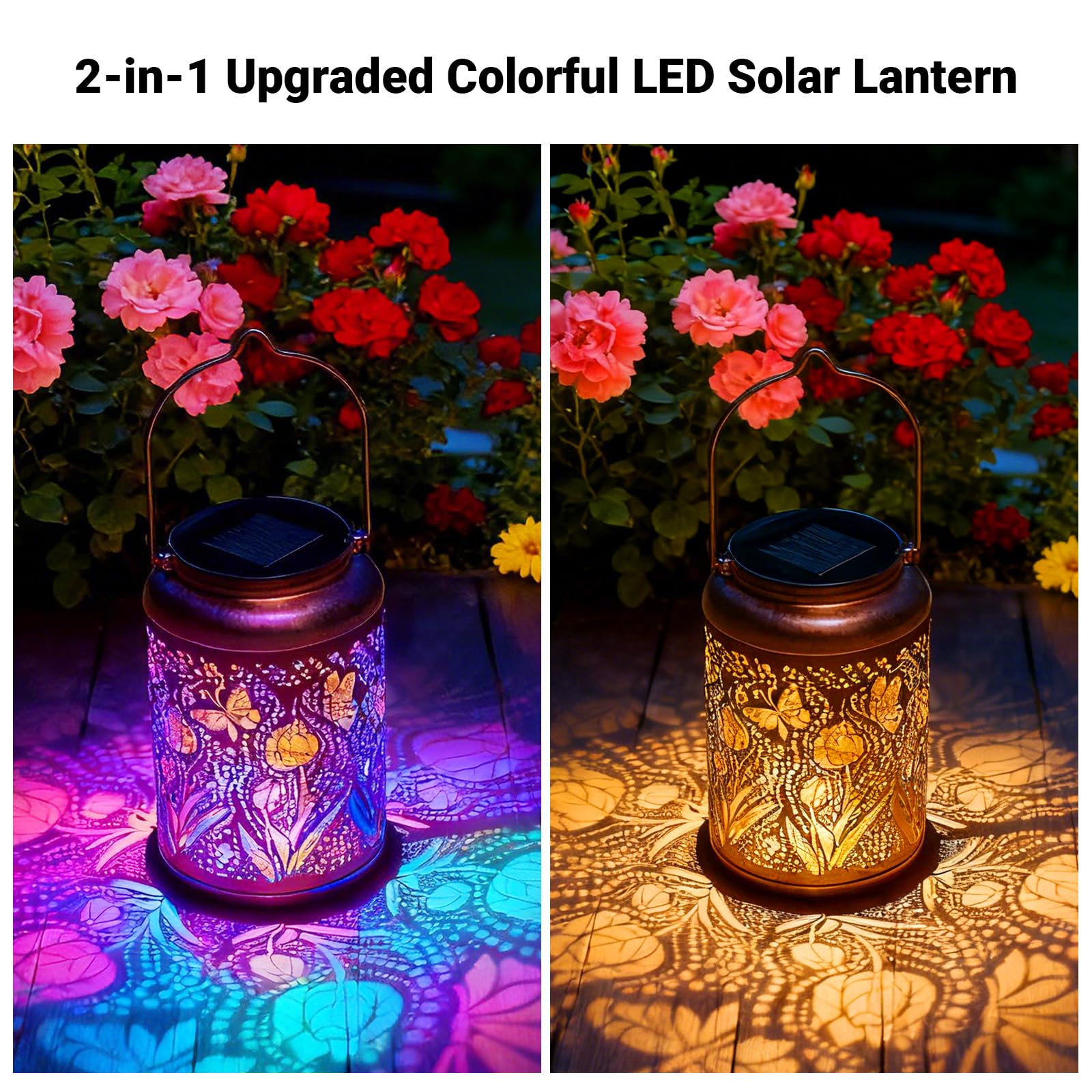 Dellicasi colorful LED lighting enhances outdoor ambiance for evenings.