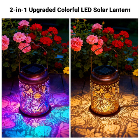 Dellicasi colorful LED lighting enhances outdoor ambiance for evenings.