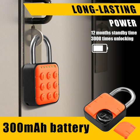 DELSWIN zinc alloy body and stainless-steel beam resist tampering and corrosion
