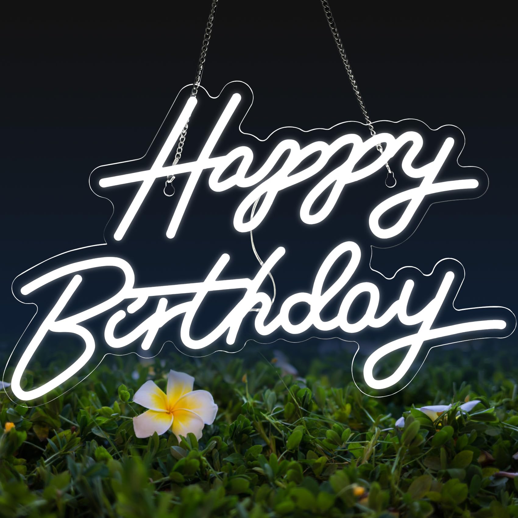 Dengduoduo Happy Birthday neon sign on wall creates a vibrant birthday backdrop.