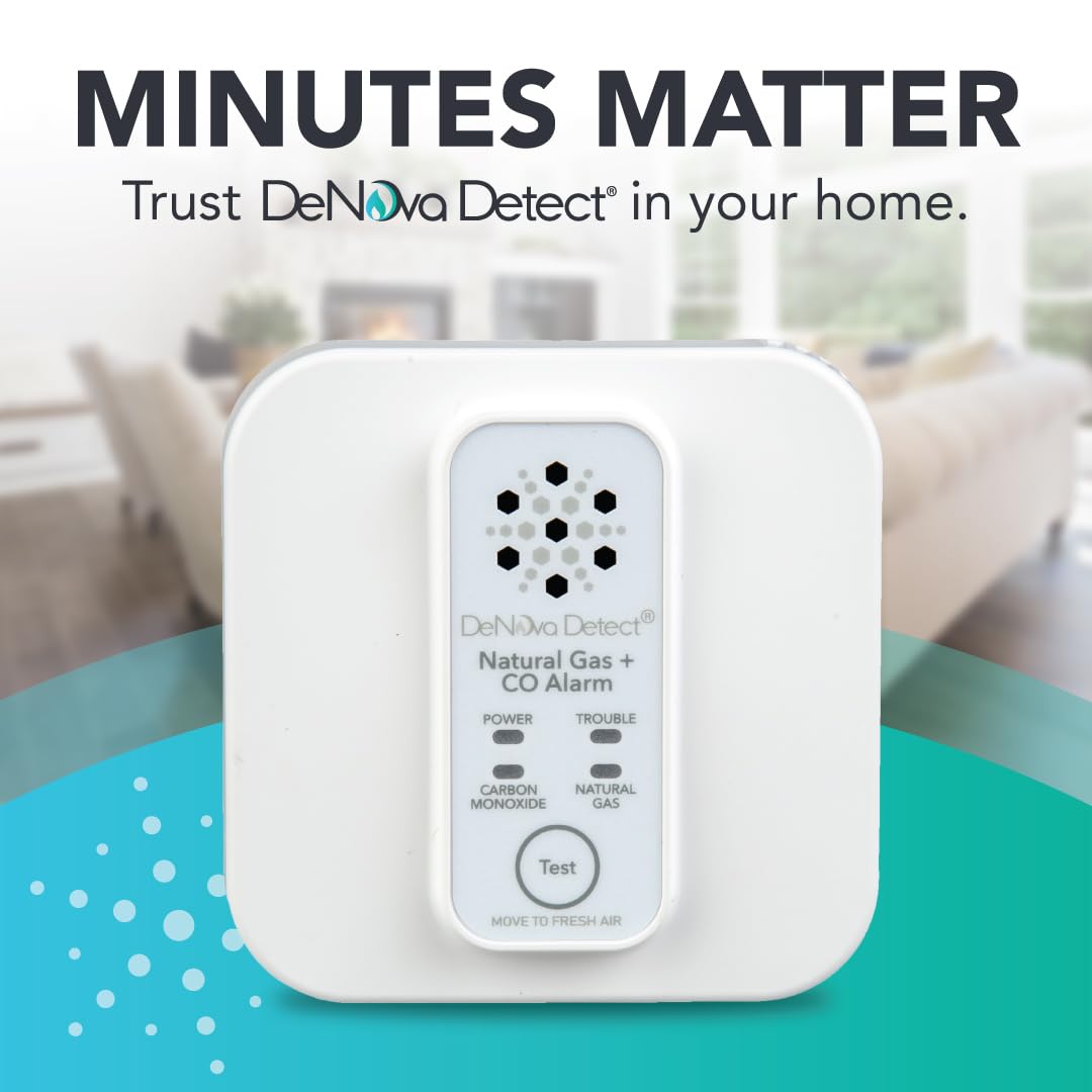 DeNova Detect performs self-diagnostics to ensure internal systems are ready.