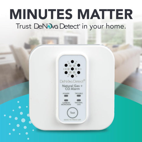 DeNova Detect performs self-diagnostics to ensure internal systems are ready.
