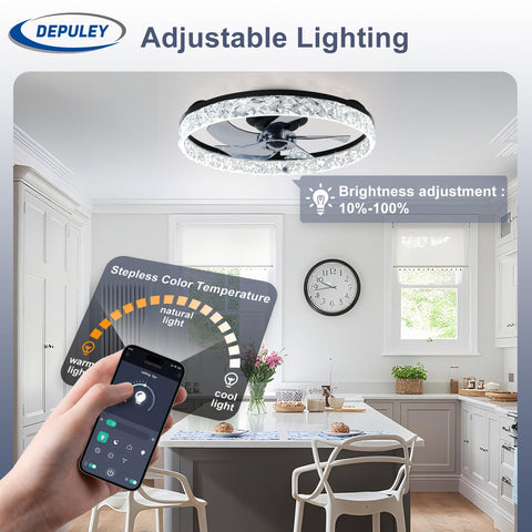 Crystal light ring illuminated on Depuley fan