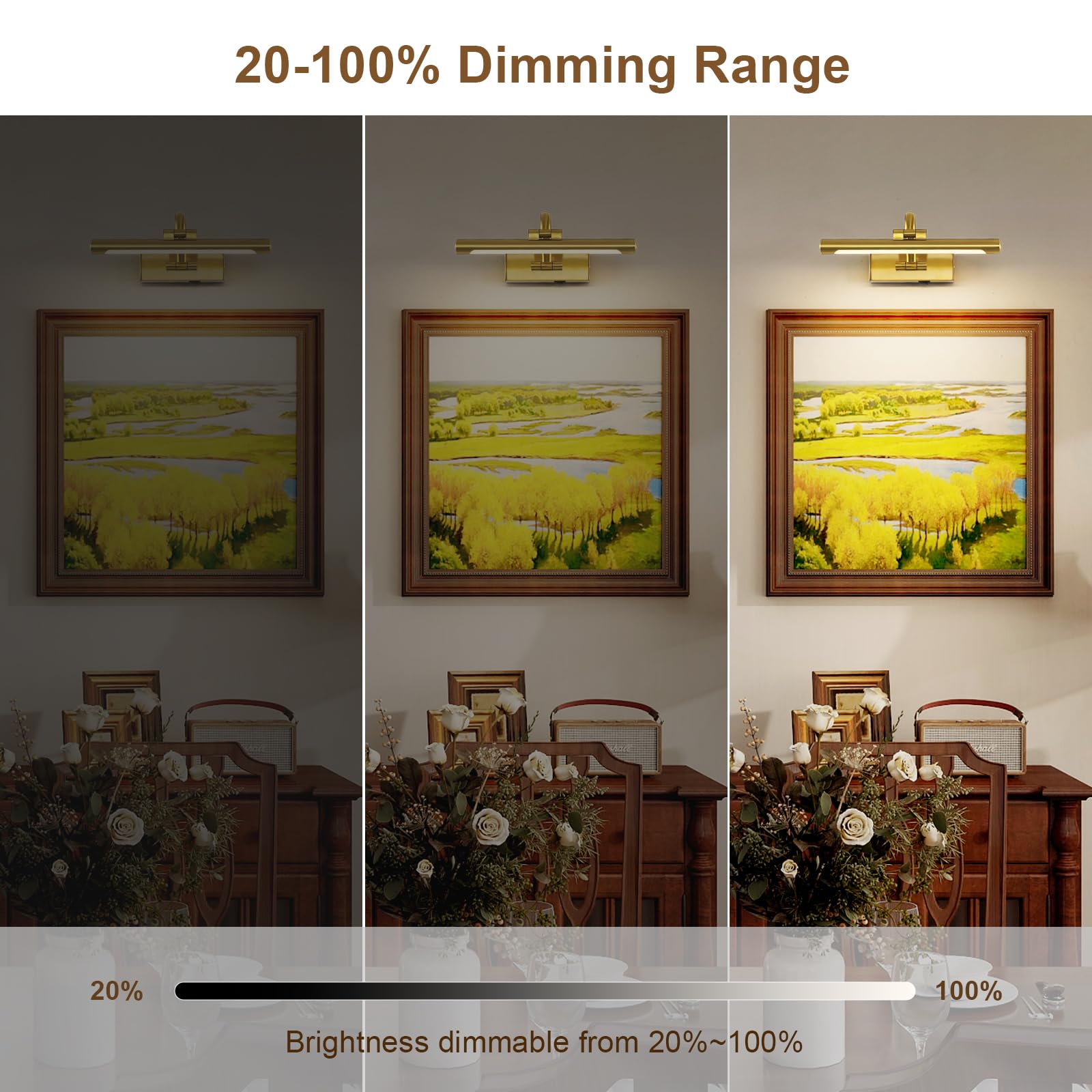 DESOOP brass wall light with remote control provides dimmable lighting for portraits.