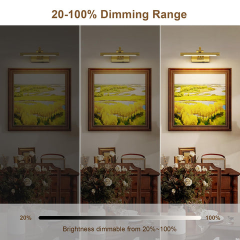 DESOOP brass wall light with remote control provides dimmable lighting for portraits.