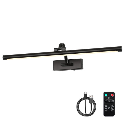 DESOOP dimmable picture light with remote enhances canvas presentation