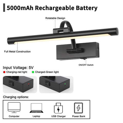DESOOP adjustable lamp head rotates 270 degrees for versatile art lighting