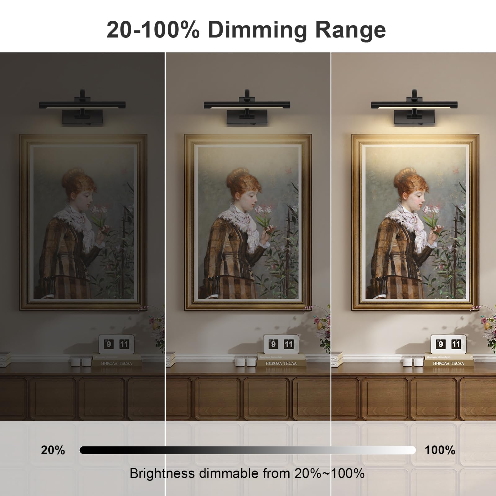DESOOP wireless gallery light with timer and remote for easy settings