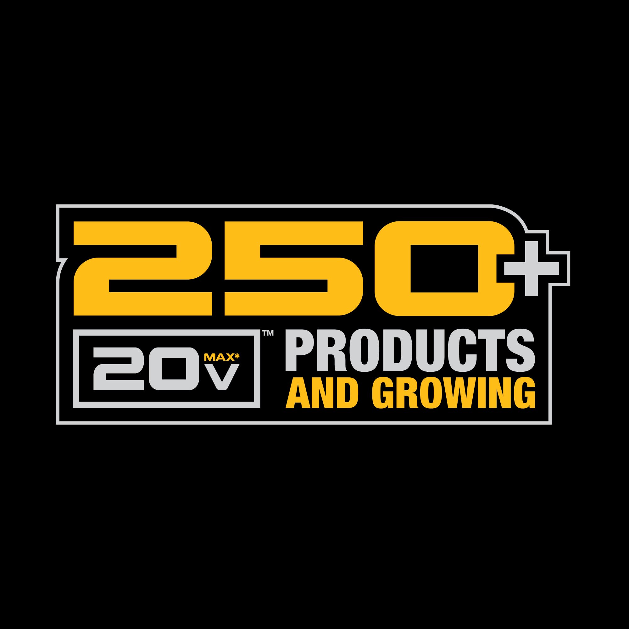 DEWALT DCB240-2 two-pack in-box display emphasizing extended runtime.