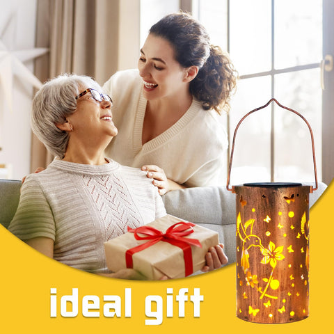 DIBIEECN front-porch light solution brings warm ambience to yard and walkway.