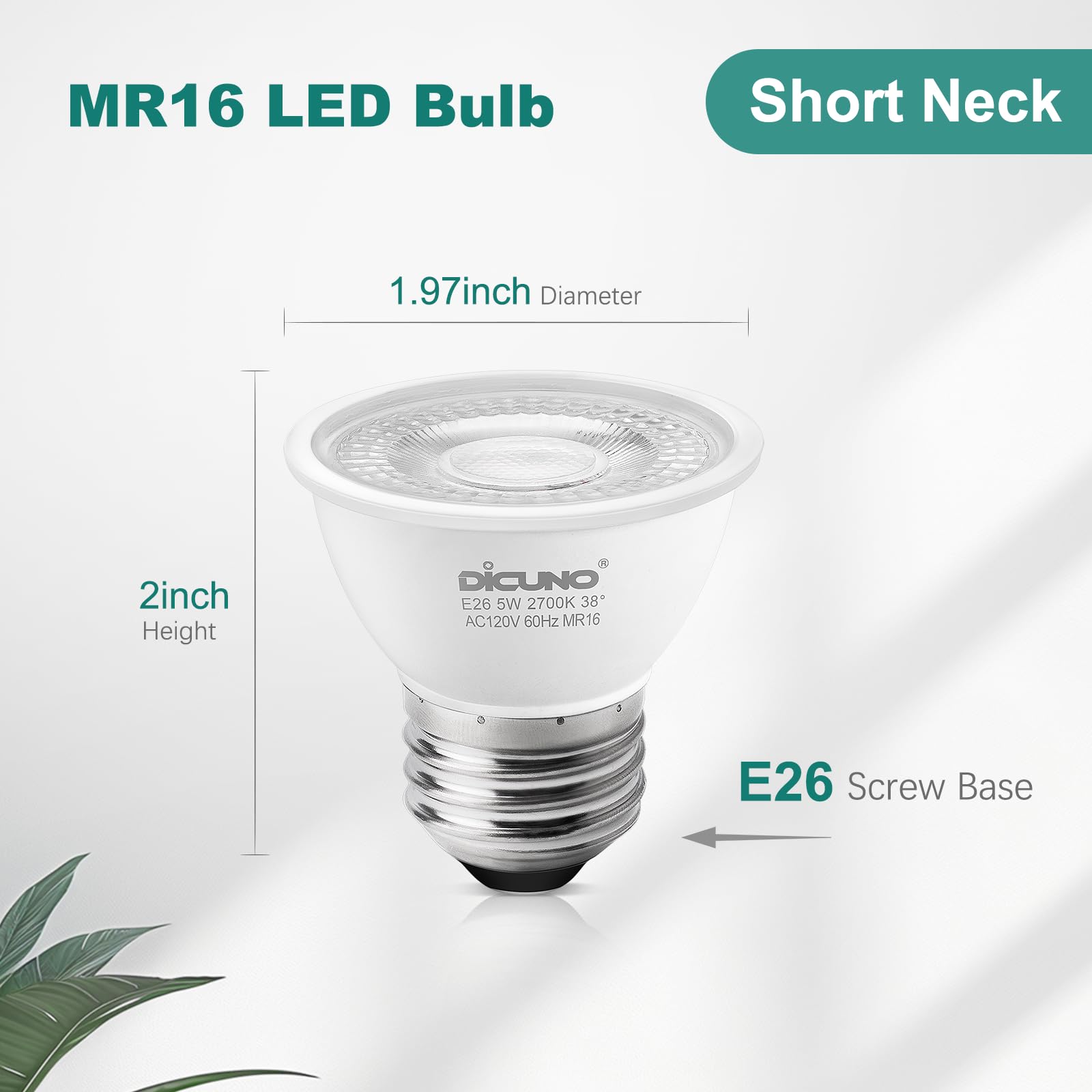 DiCUNO PAR16's short neck fits tight fixtures like curio cabinets.