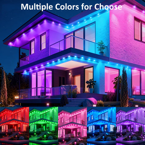 DIERLIGHT music sync mode creates a dynamic party atmosphere