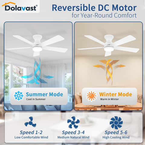 Dolavast 2/4/8 hour timers help manage energy use and overnight comfort.