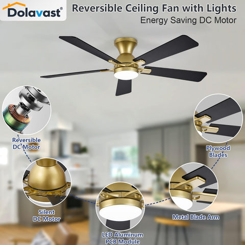 Dolavast Natural Breeze mode mimics outdoor wind patterns