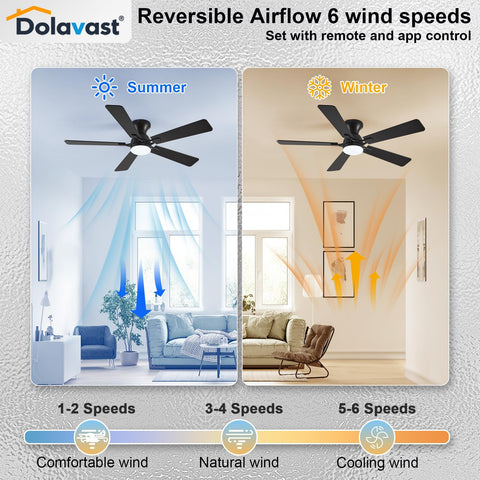 Dolavast remote and app-ready control simplifies speed and lighting tweaks.