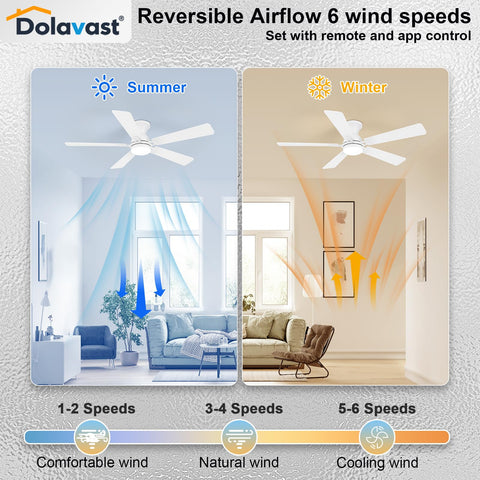 Smart remote and app control for convenient operation.