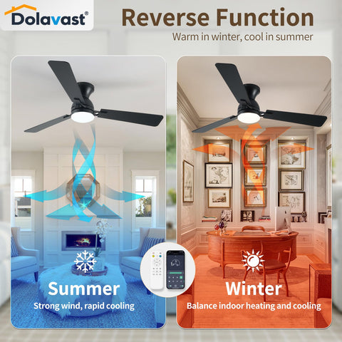 Dolavast timer and Natural Wind mode offering customizable breeze patterns.