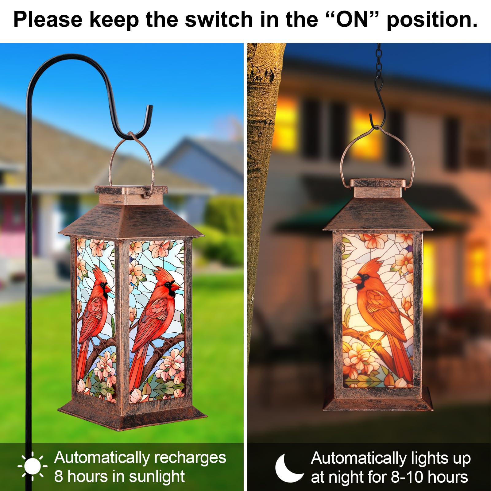 Warm LED glow enhances backyard ambiance for gatherings