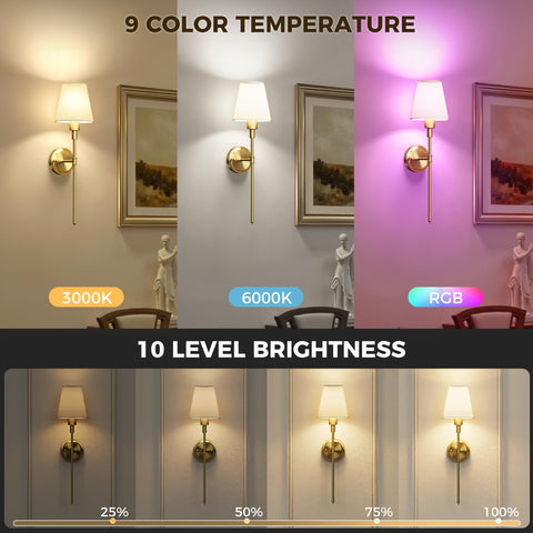 DORESshop gold finish sconce adds classic elegance to bedrooms and living rooms.