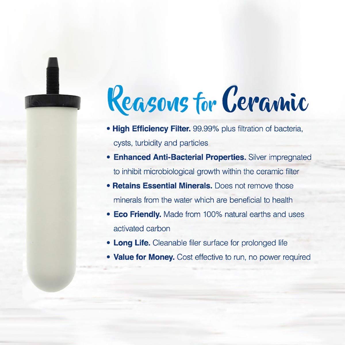DOULTON 2-pack ceramic filters provide easy, cost-effective replacement in gravity systems