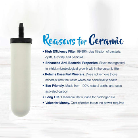DOULTON 2-pack ceramic filters provide easy, cost-effective replacement in gravity systems