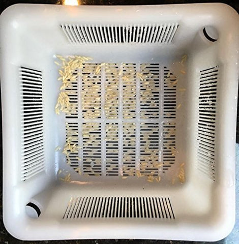 Drain-Net basket in a dishwashing station, keeping drains clear.