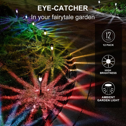 Dream Master yard decor lights providing festive backyard ambience