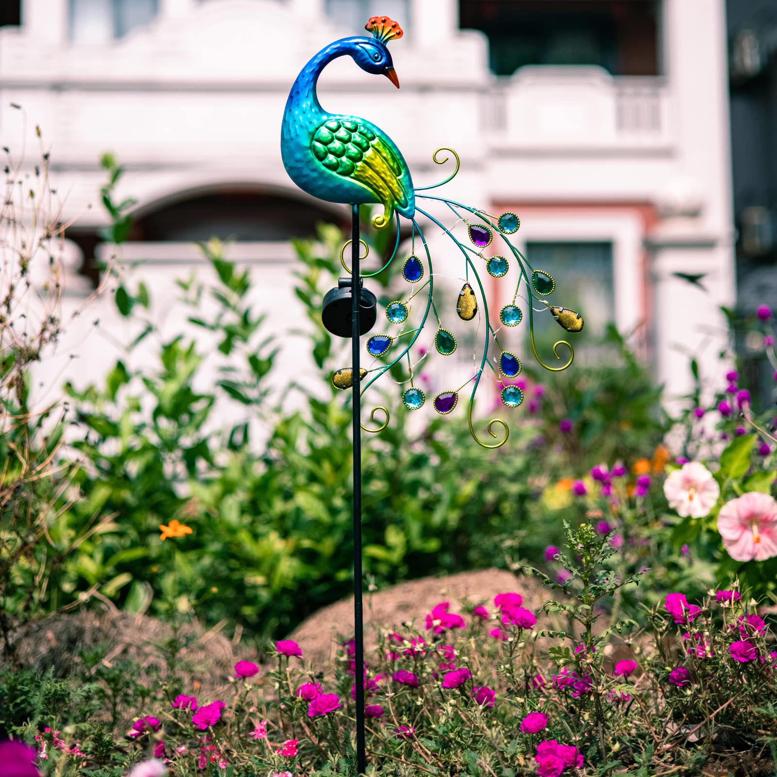 DREAMSOUL anti-rust peacock lawn light withstands weather.