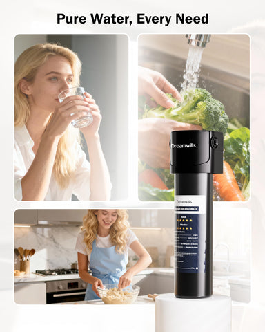 Dreamwills DS10 sanitary filtration system highlights hygienic year-long cycle