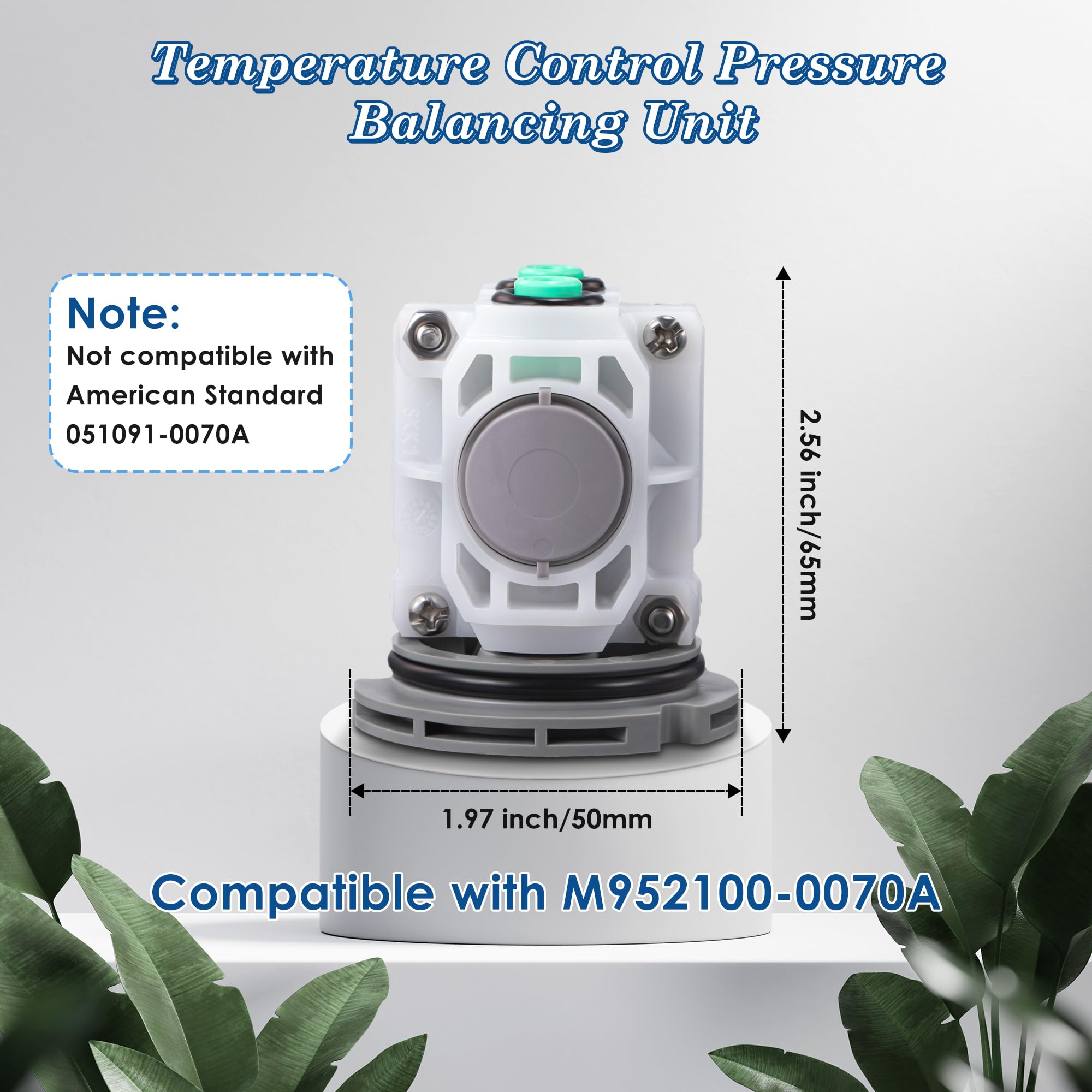 Dreyoo diaphragm system with integrated check valves detail.