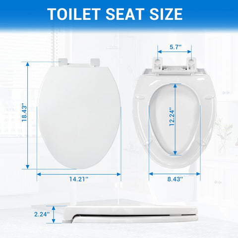DryLabs elongated seat 18.5-inch heavy-duty design supports up to 400 lb