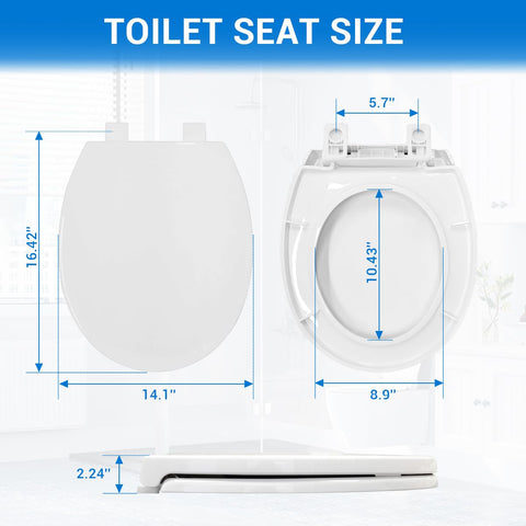 DryLabs round toilet seat supports up to 400 lbs for daily durability