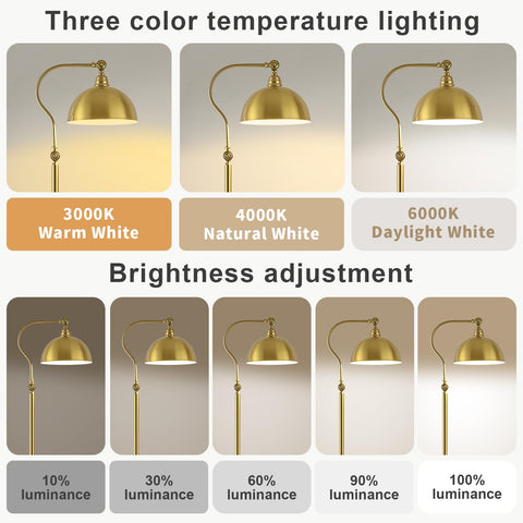 Dujunlinghang brass floor lamp in a contemporary living room setup.