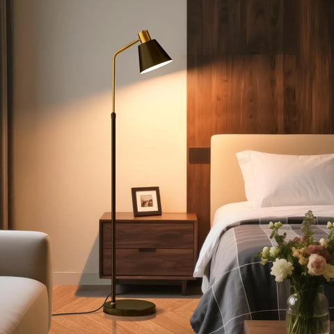 dujunlinghang dimmable black vintage floor lamp 12W LED bulb for steady illumination