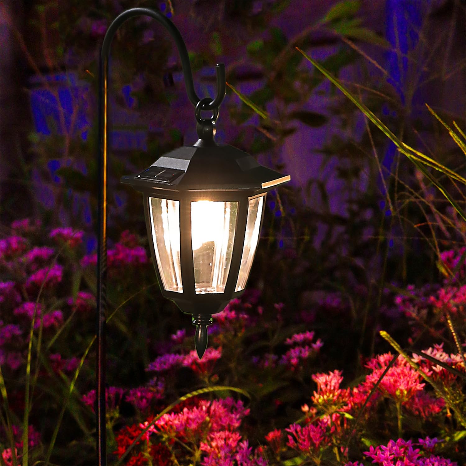 Dynaming decorative outdoor lighting along driveway and walkway