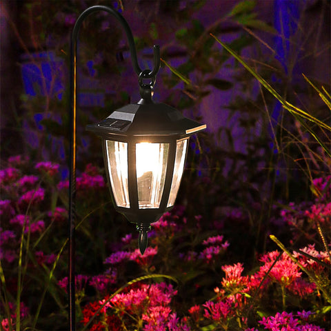 Dynaming decorative outdoor lighting along driveway and walkway