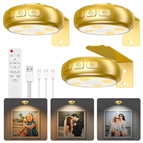 Dysh.Tech picture light with remote dimming for enhanced wall art display