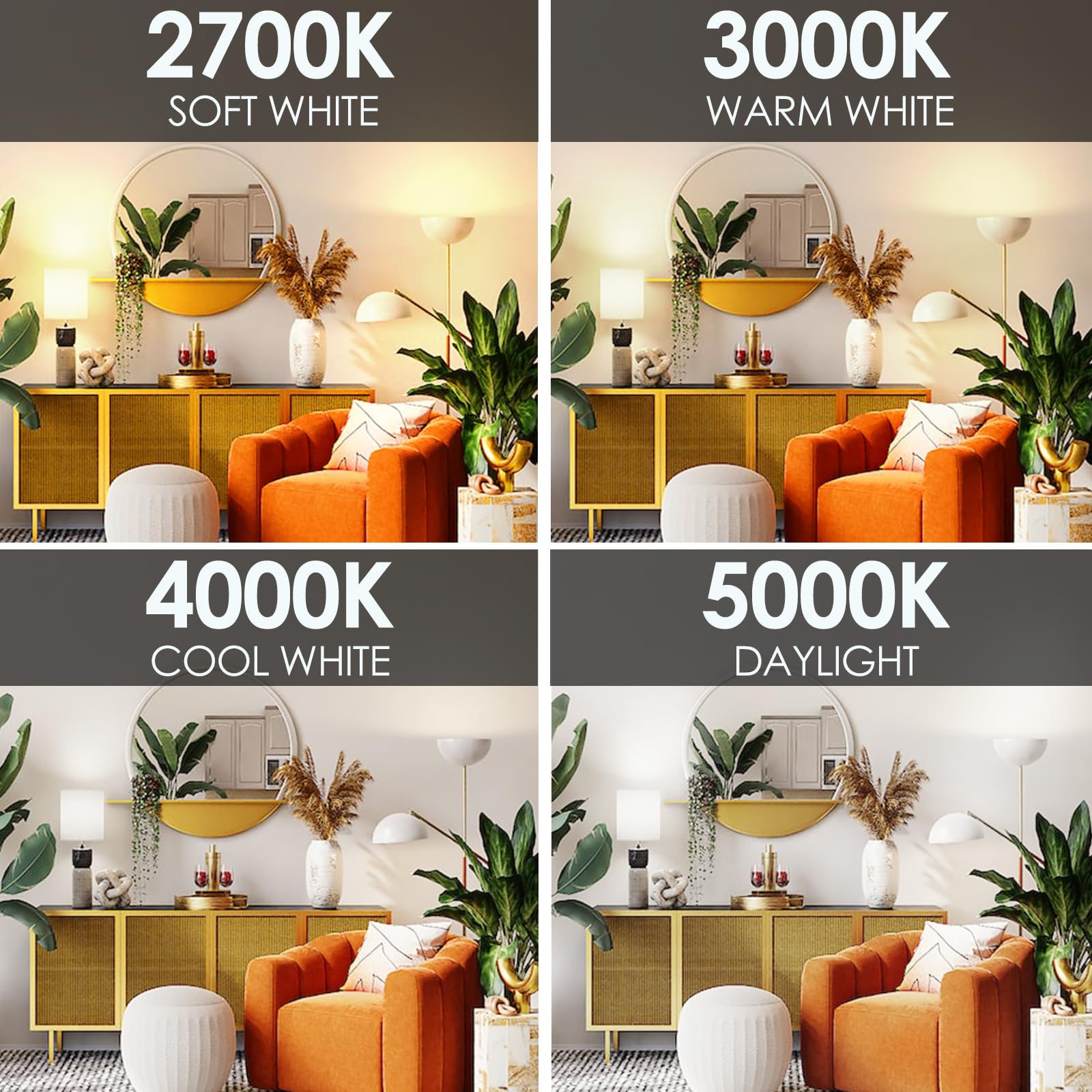A19-shaped LED bulb ideal for living room lamps