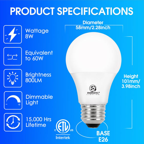 E Energetic Lighting bulb with E26 base installed in a lamp