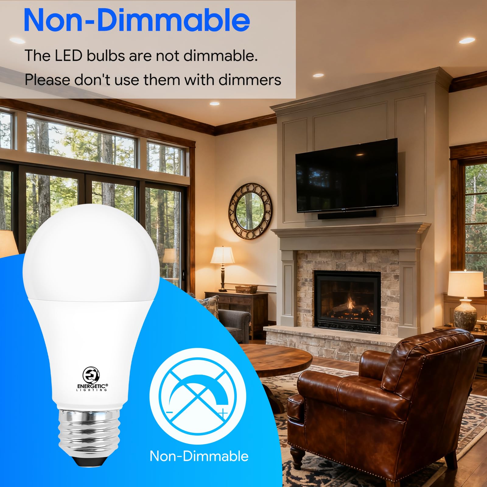 E Energetic Lighting non-dimmable LED bulb with steady light
