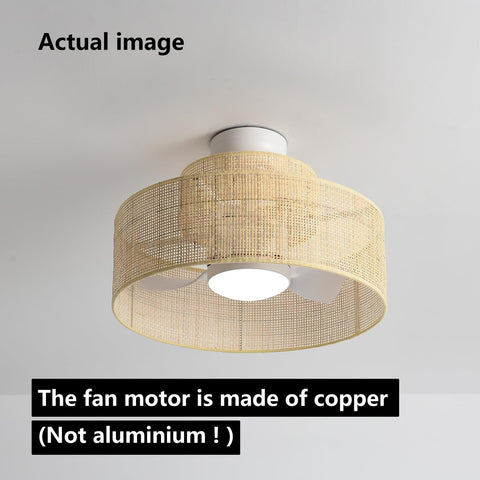 Eamonex dimmable light with adjustable color and timer features