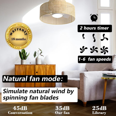 Eamonex remote control enables easy fan and light adjustments