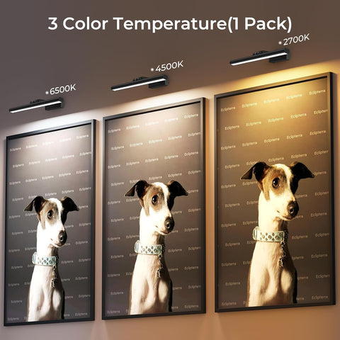 Eclipterra three color temperatures tailor ambience for paintings and photos